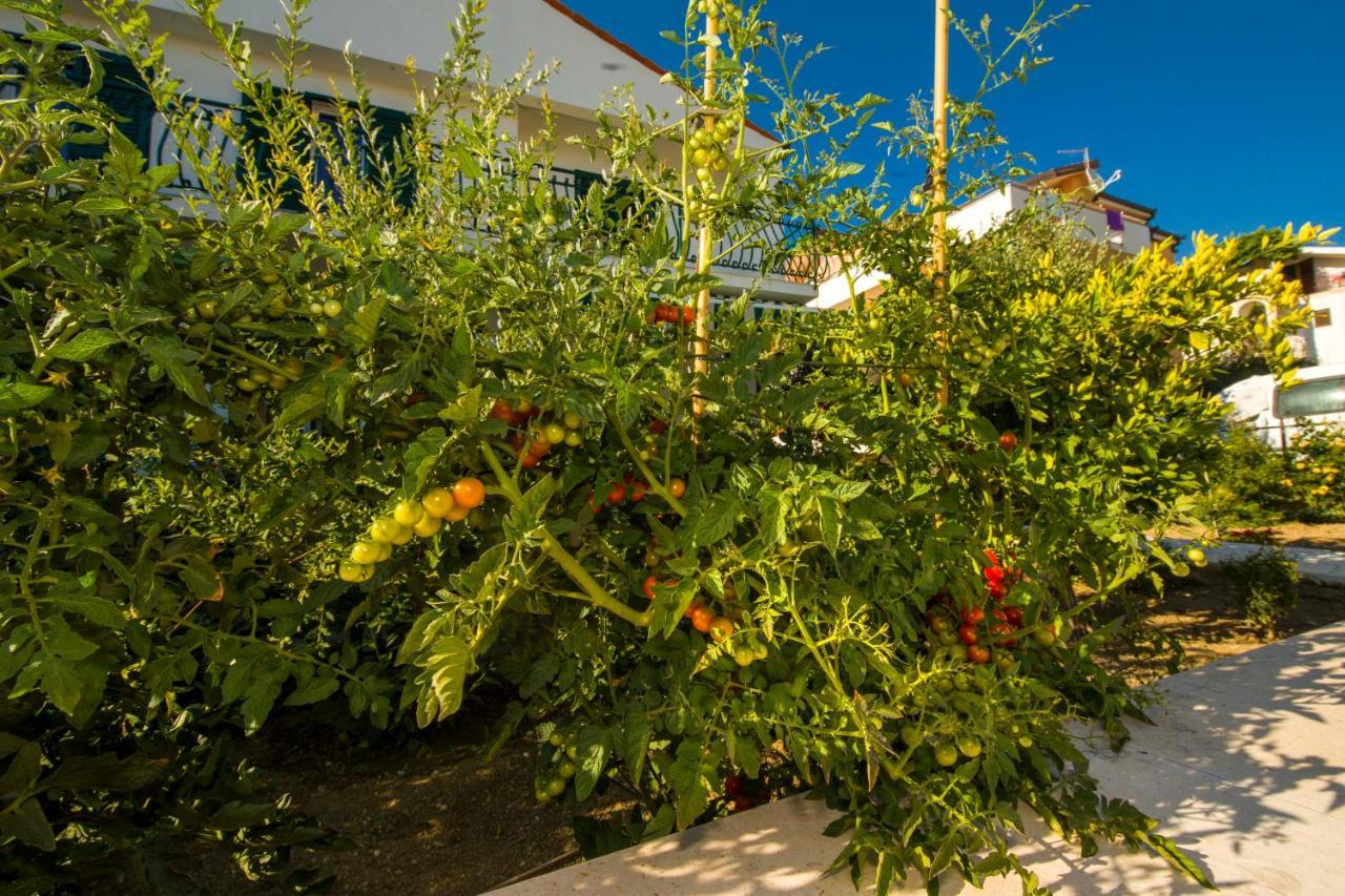 Ve & Ki Apartment Podstrana Exterior photo